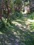 crowdy-national-park 009